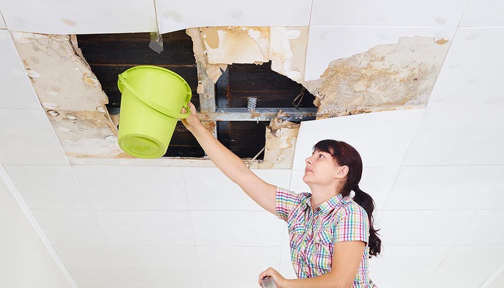 Availing Water Damage& Restoration Services