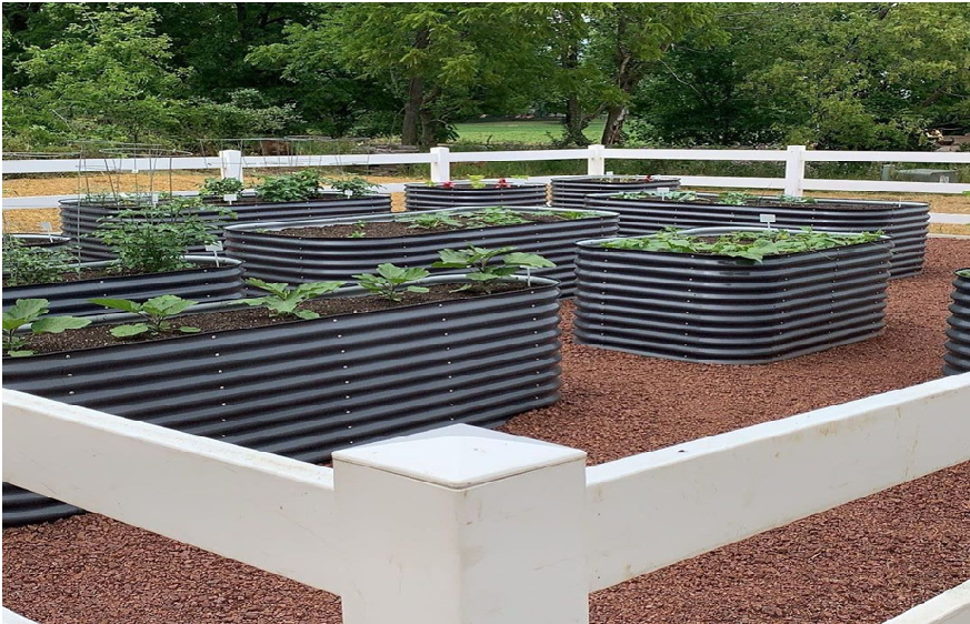 Few Tips And Tricks To Grow Plants In a Raised Garden Bed