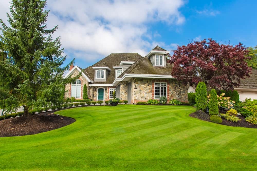 Lawn Maintenance: How to Take Care of Your Lawn