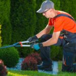 professional landscape specialists
